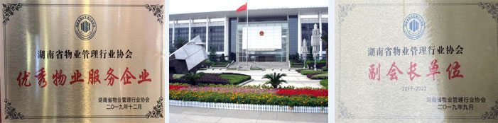 1590367737398203.jpg 1590367737398203.jpg