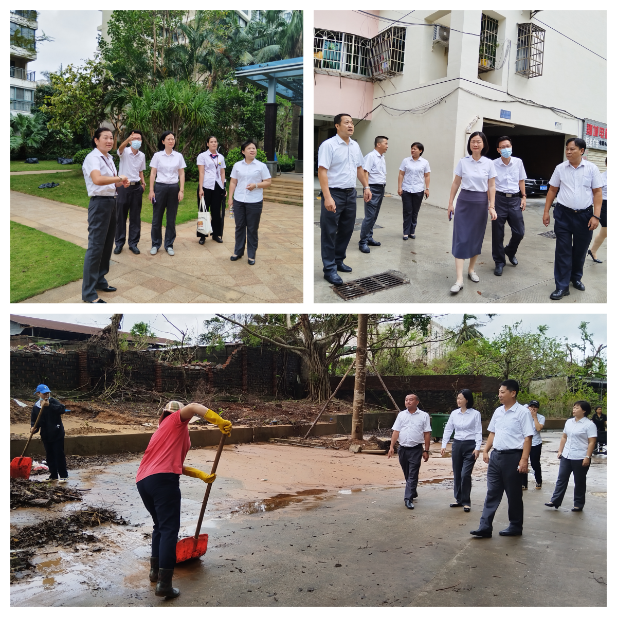 1727231687123597.png 圖片1_副本.png